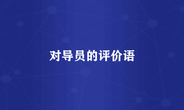 对导员的评价语