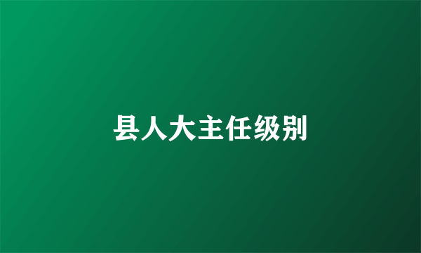 县人大主任级别
