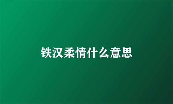 铁汉柔情什么意思