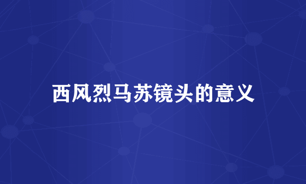 西风烈马苏镜头的意义