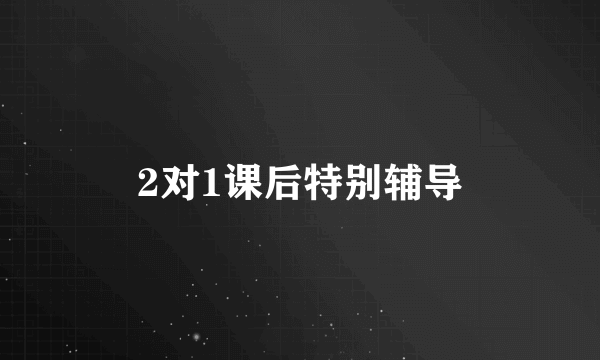 2对1课后特别辅导