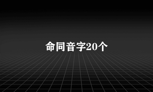 命同音字20个