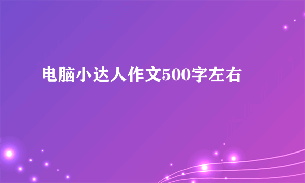 电脑小达人作文500字左右