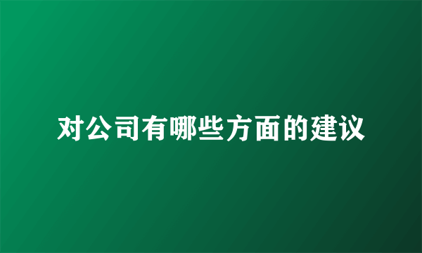 对公司有哪些方面的建议