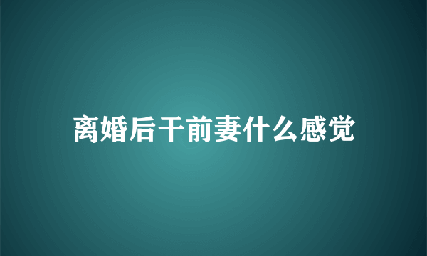 离婚后干前妻什么感觉