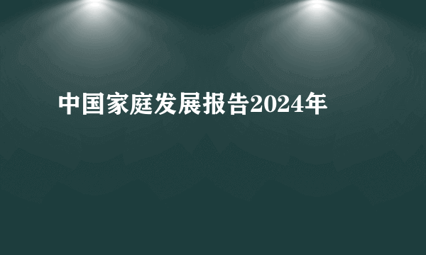 中国家庭发展报告2024年