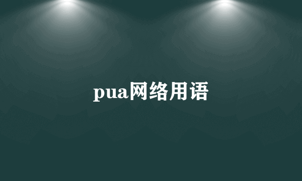 pua网络用语