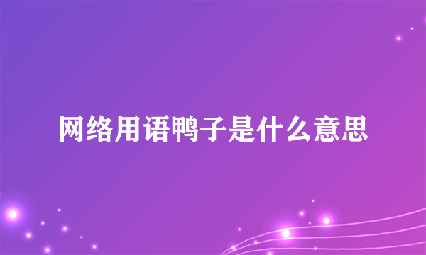 网络用语鸭子是什么意思