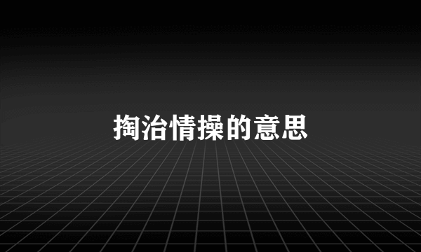 掏治情操的意思