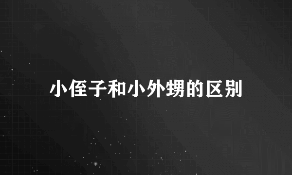 小侄子和小外甥的区别
