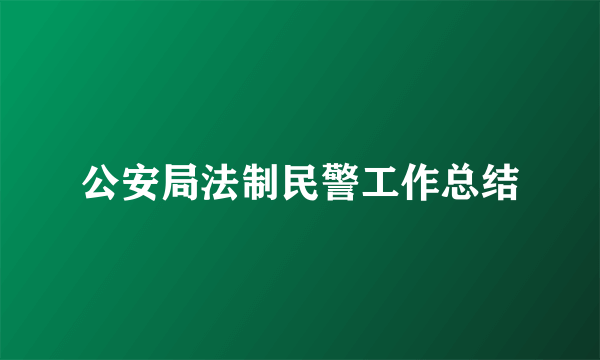 公安局法制民警工作总结