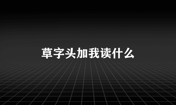 草字头加我读什么