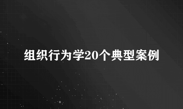 组织行为学20个典型案例