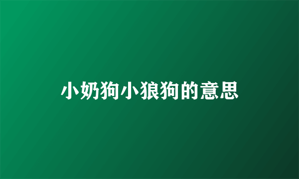 小奶狗小狼狗的意思