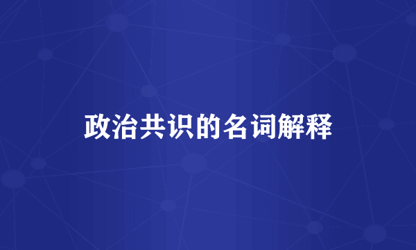 政治共识的名词解释
