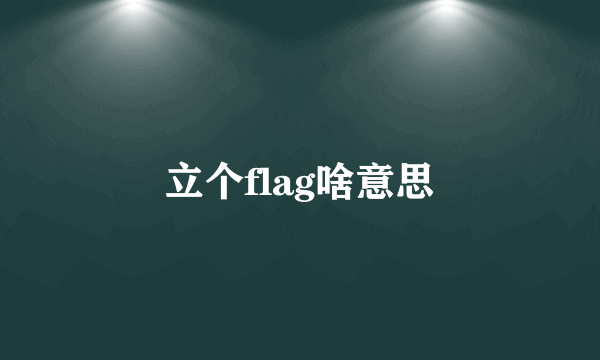 立个flag啥意思