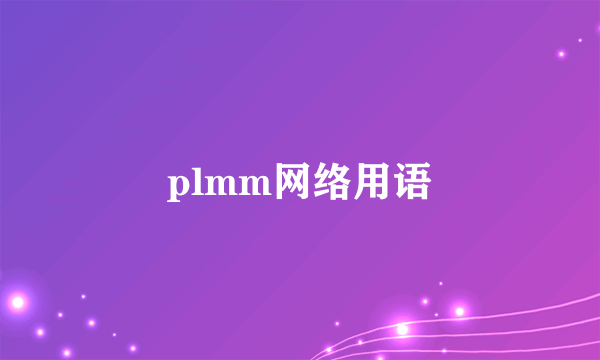 plmm网络用语
