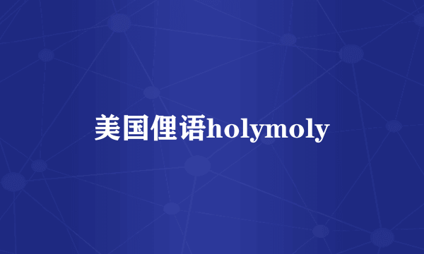美国俚语holymoly