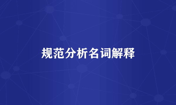 规范分析名词解释