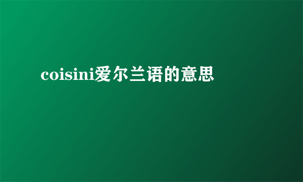coisini爱尔兰语的意思