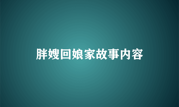 胖嫂回娘家故事内容
