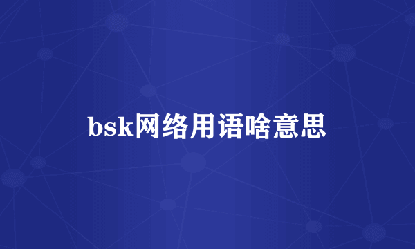 bsk网络用语啥意思