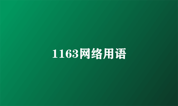 1163网络用语