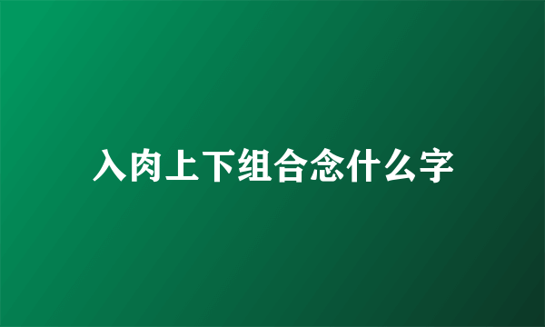 入肉上下组合念什么字