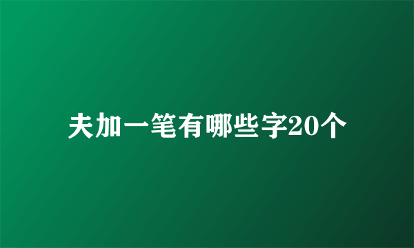 夫加一笔有哪些字20个