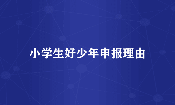小学生好少年申报理由