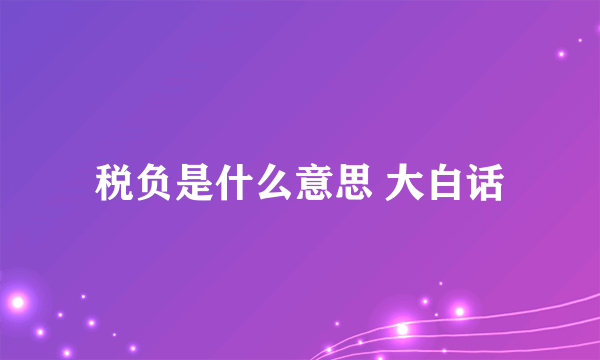 税负是什么意思 大白话