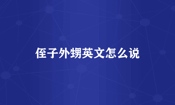 侄子外甥英文怎么说