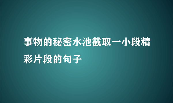 事物的秘密水池截取一小段精彩片段的句子