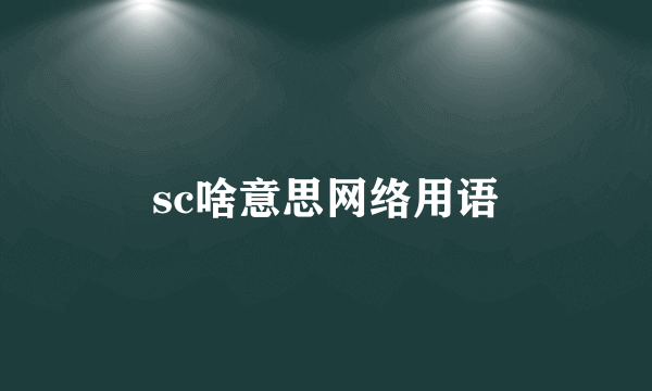 sc啥意思网络用语