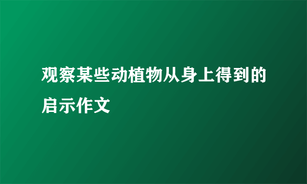 观察某些动植物从身上得到的启示作文