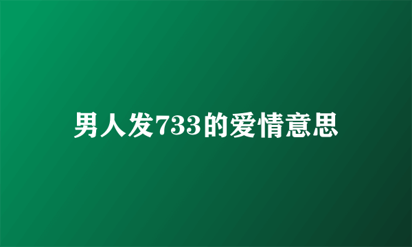 男人发733的爱情意思