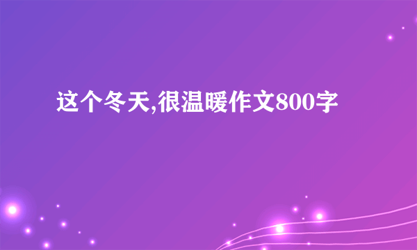 这个冬天,很温暖作文800字
