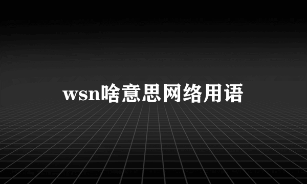 wsn啥意思网络用语