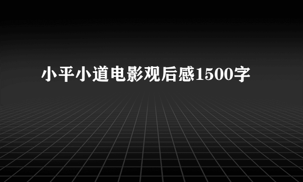小平小道电影观后感1500字