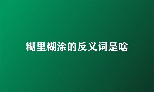 糊里糊涂的反义词是啥
