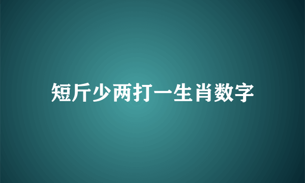 短斤少两打一生肖数字