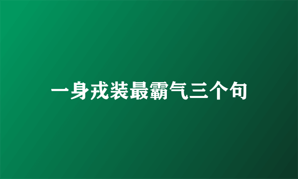 一身戎装最霸气三个句