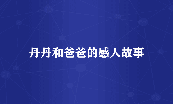 丹丹和爸爸的感人故事