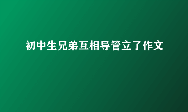 初中生兄弟互相导管立了作文