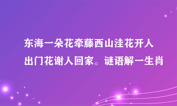 东海一朵花牵藤西山洼花开人出门花谢人回家。谜语解一生肖