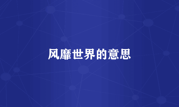 风靡世界的意思