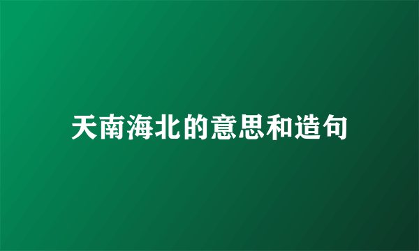 天南海北的意思和造句