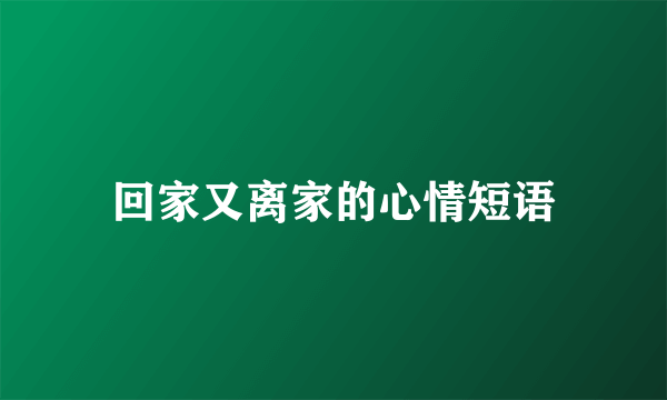 回家又离家的心情短语
