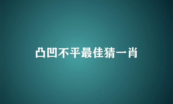 凸凹不平最佳猜一肖