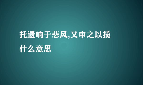 托遗响于悲风,又申之以揽茝什么意思
